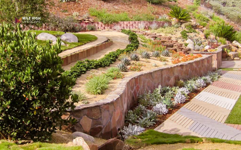 Retaining wall garden with desert blooms