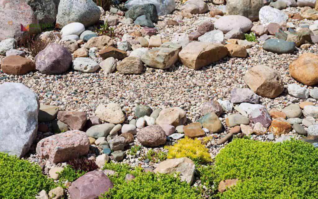 River rock pathway with native grasses