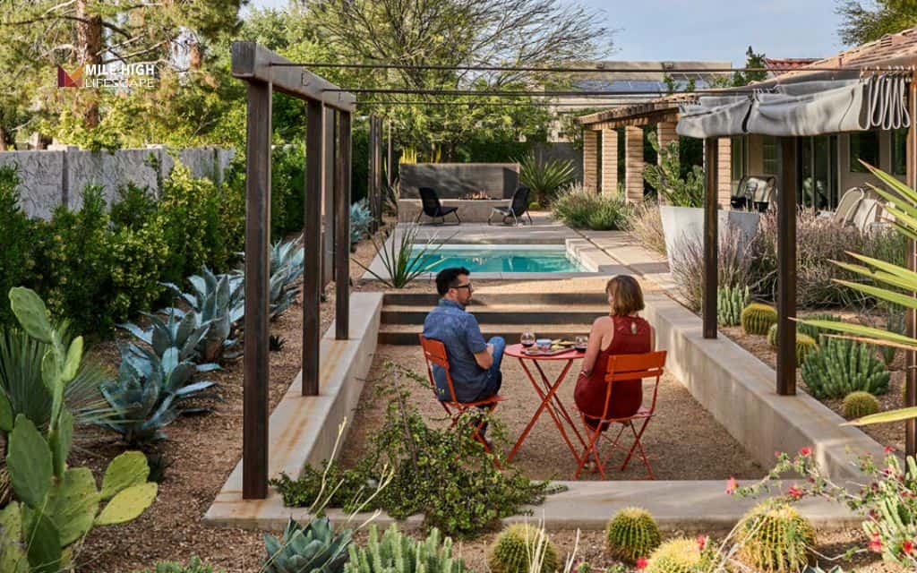 Shade-tolerant desert corner