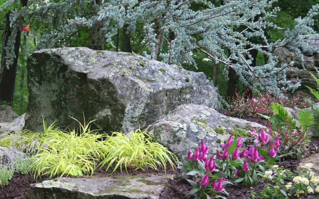 Stone garden with evergreen accents