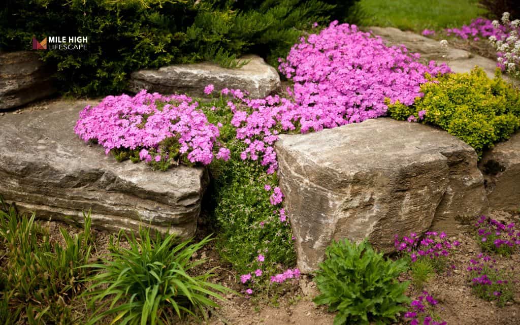Water-wise river rock flower beds: 15 creative designs for denver gardens