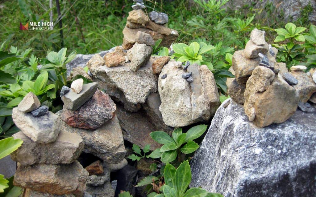 Wildlife-friendly rock garden