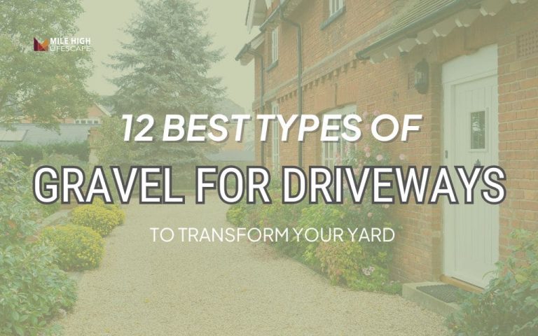 12 Best Types of Gravel for Driveways for Denver Homes