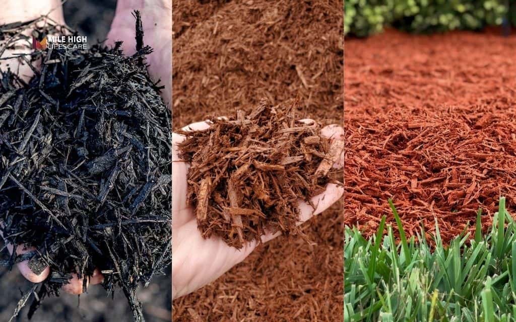 what color mulch looks best: 3 most popular mulch colors