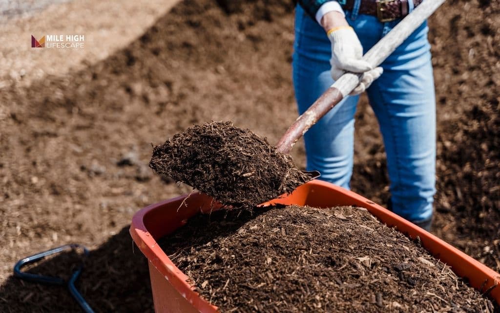 Black or brown mulch: Which color makes your home look better?