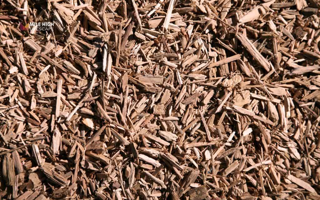 Extend mulch life: Maintenance strategies for gardeners