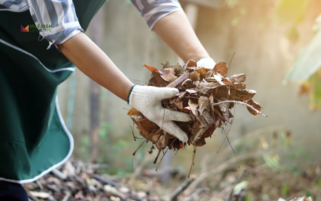 Hand-pick (for flower or rock gardens)