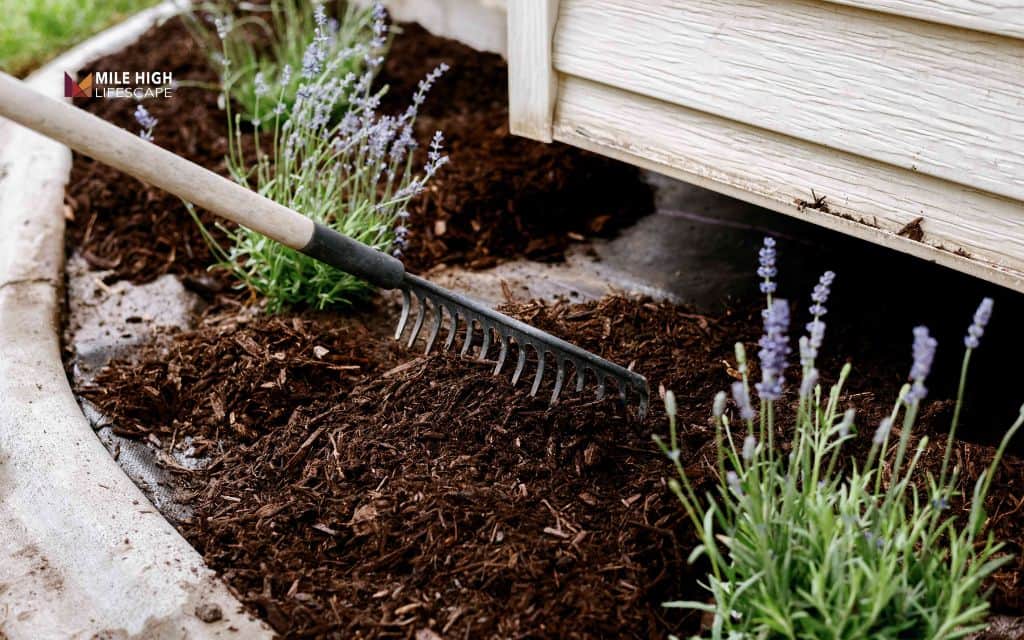 How long should mulch last? Most gardeners get this wrong