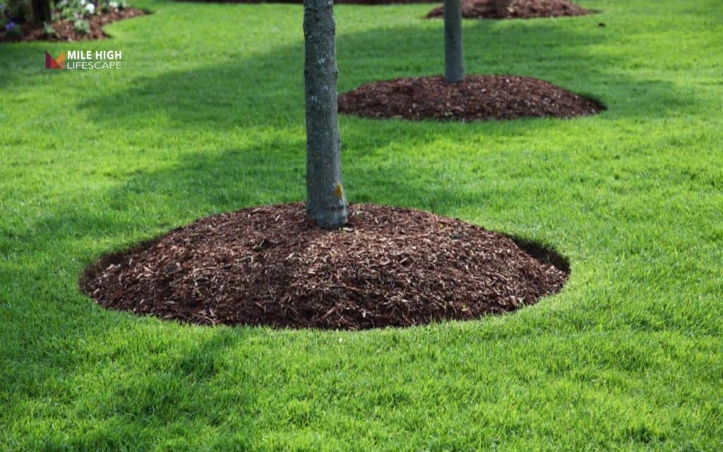 How much does mulch cost per yard?