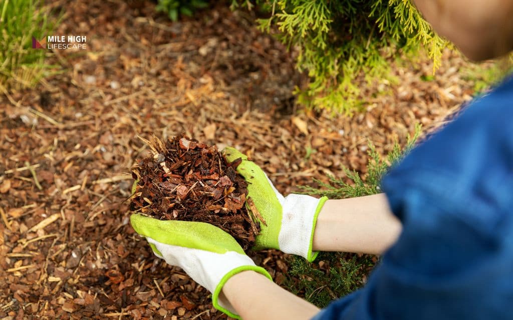 How much mulch do you actually need?