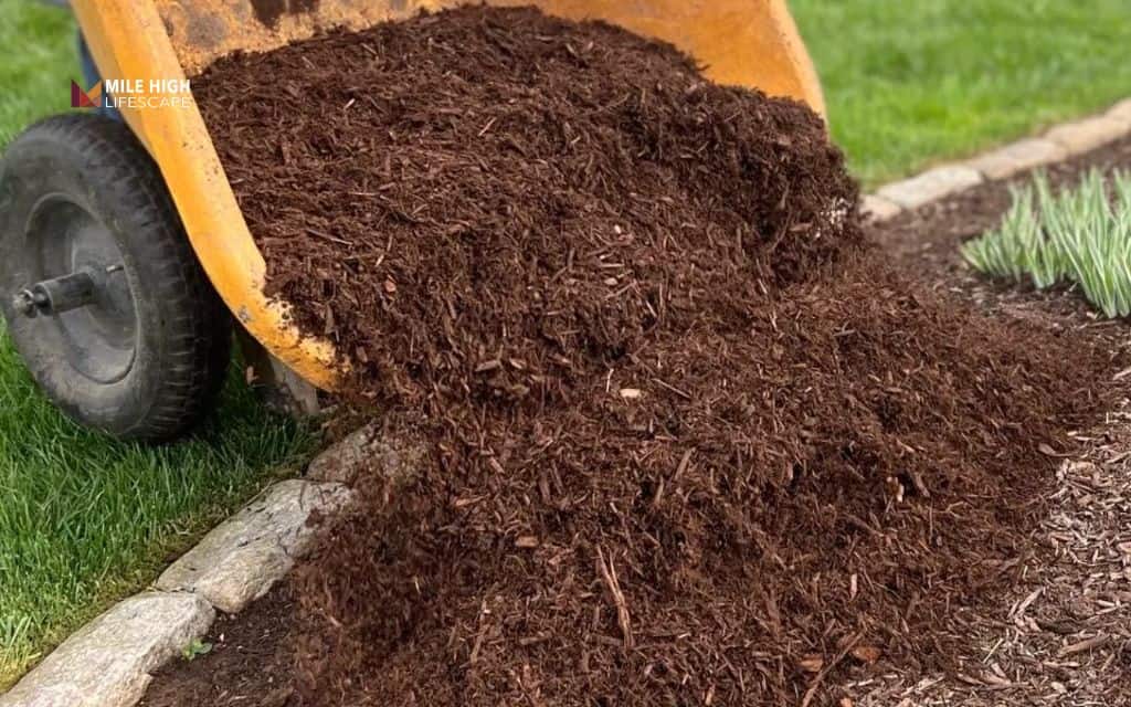 How mulch is measured: cubic yard, bags, and "scoops"