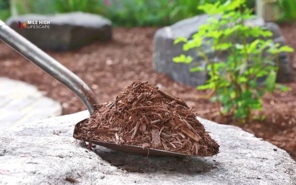 How to apply mulch correctly