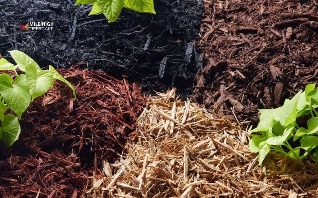 How to choose the best mulch color for your Denver home