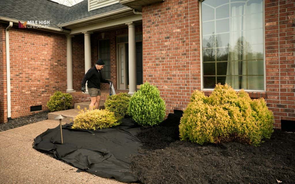 How to use mulch safely around your home