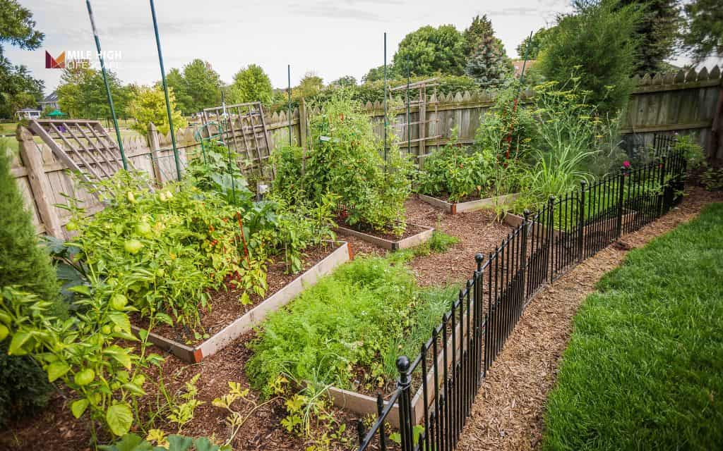 Install a perimeter plant barrier