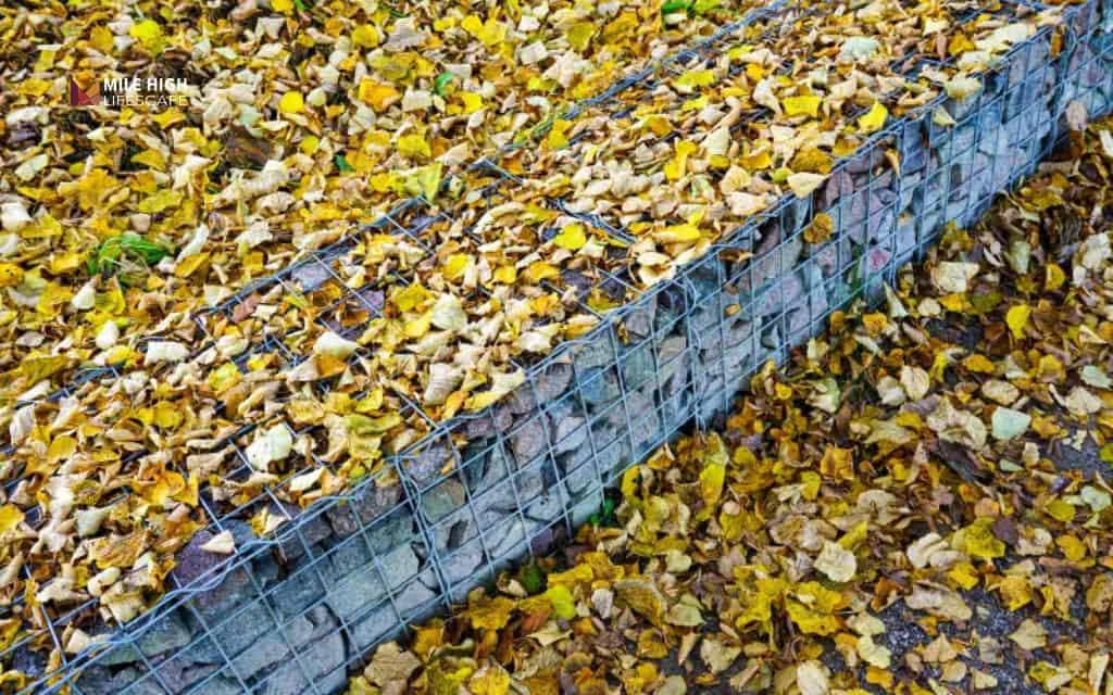 Install a temporary leaf net or mesh barrier