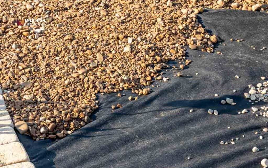 Lay down landscape fabric or jute netting under mulch