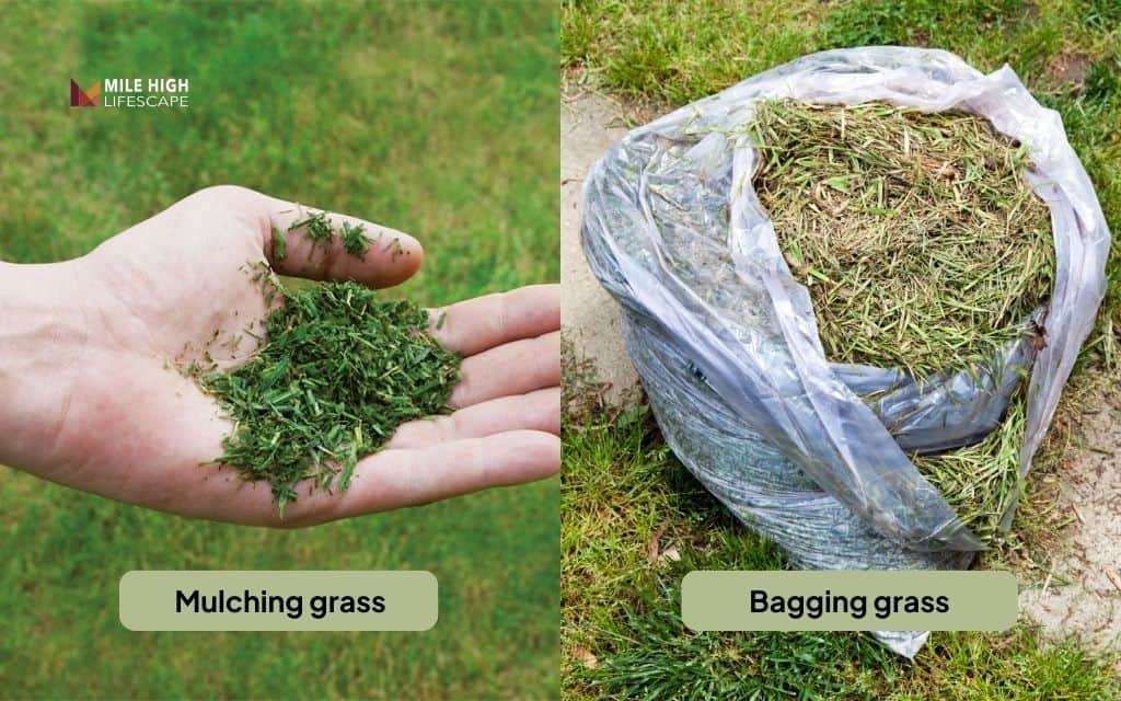 Mulching vs bagging - When each makes sense