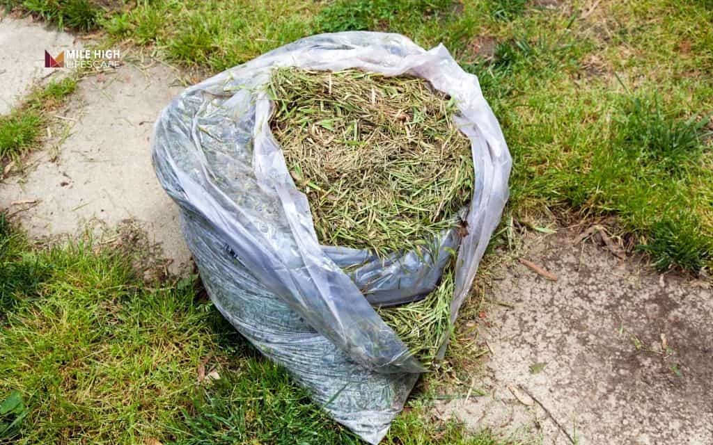 Mulching your Colorado garden: Can I use grass clippings as mulch safely this season?