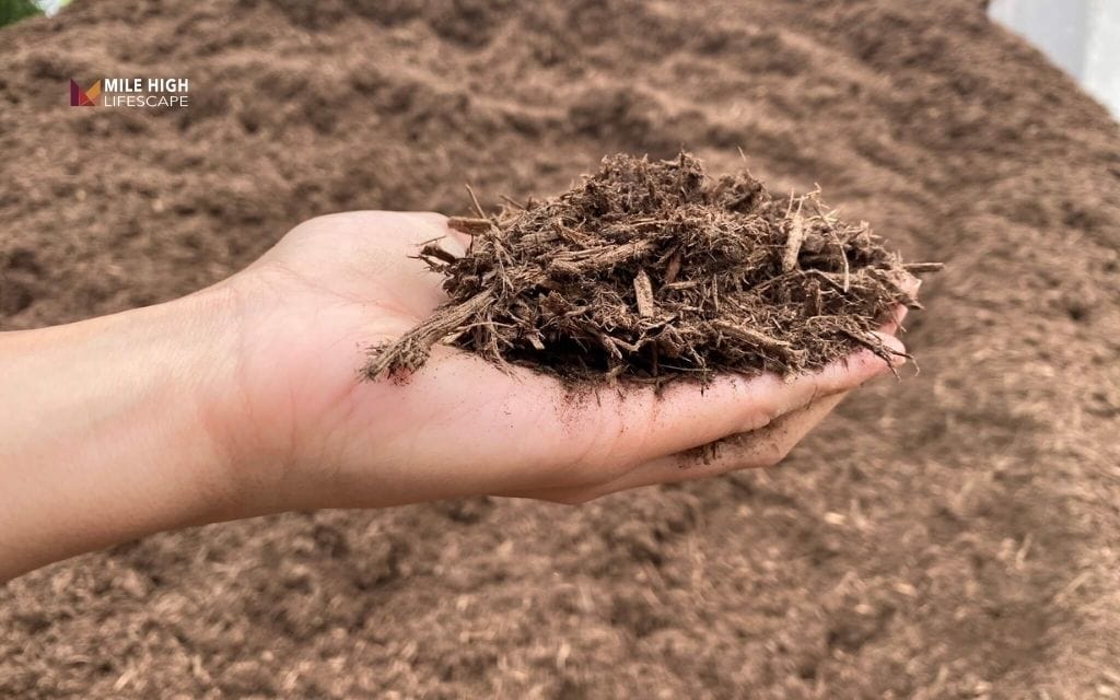 Natural vs colored mulch - Is dyed mulch a good idea?