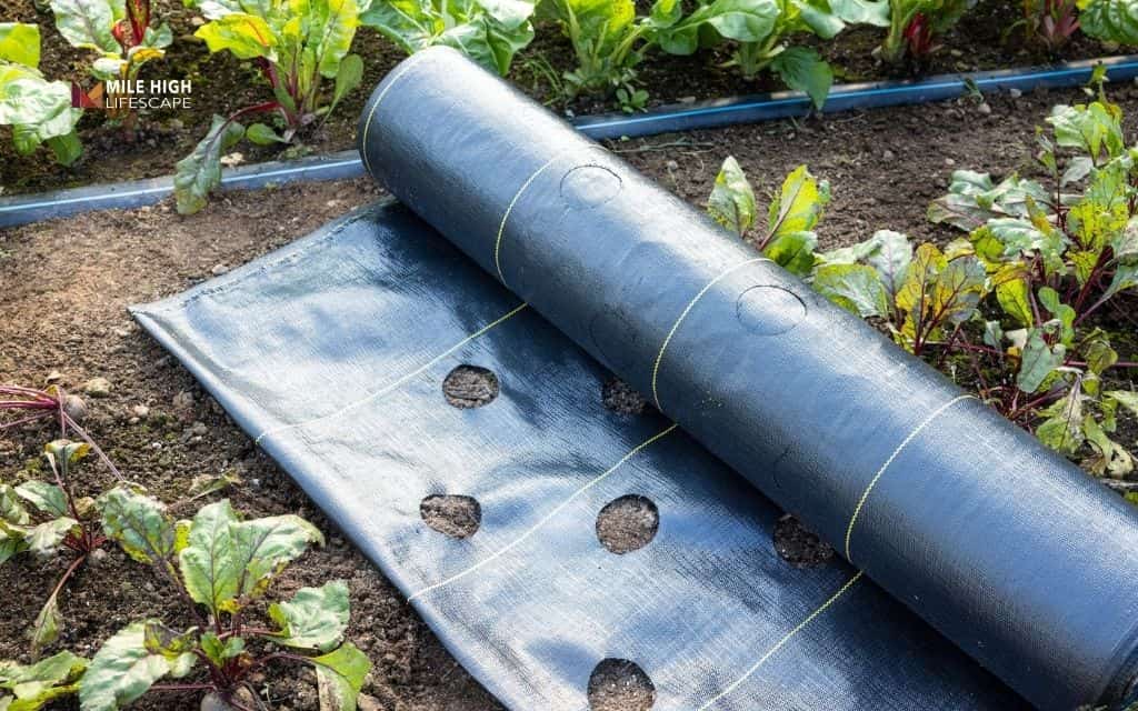 Replace or repair landscape fabric