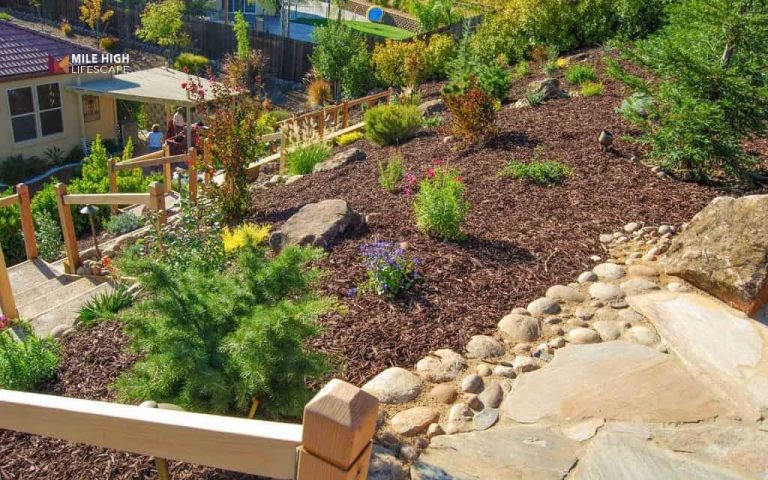 Slope mulch that actually stays put: Denver's erosion solution