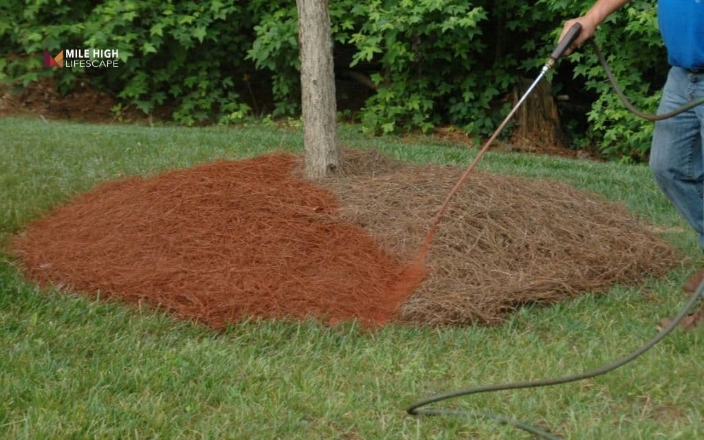 Use mulch lock spray or landscape adhesive