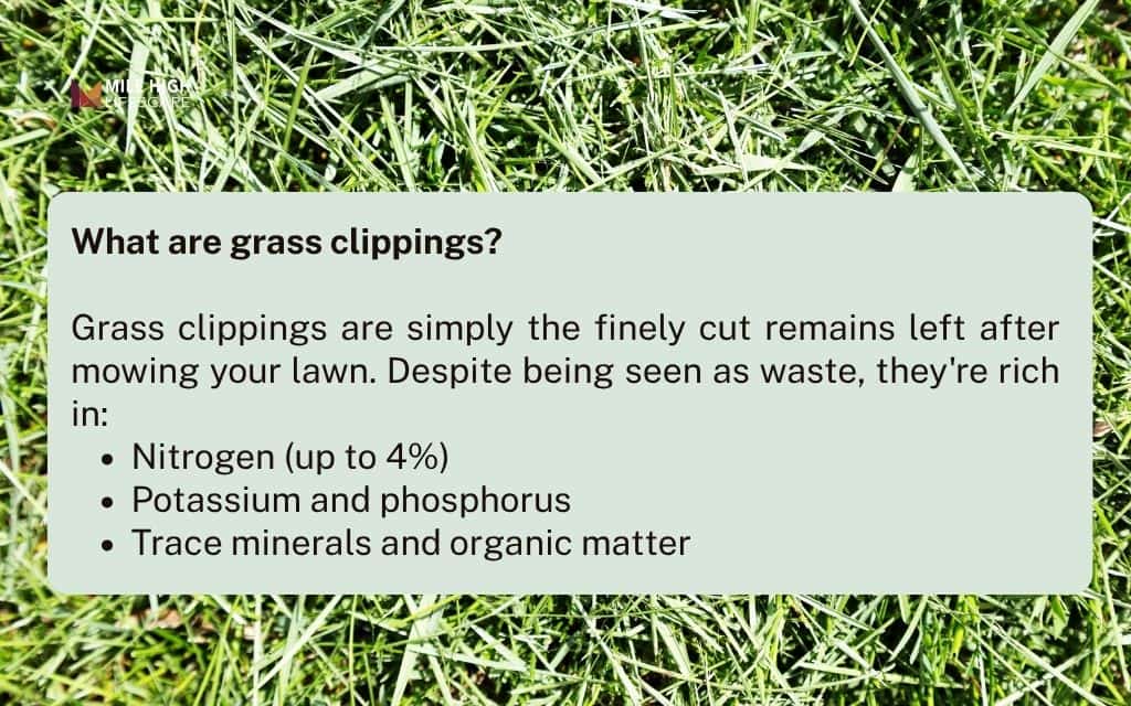 What are grass clippings?
