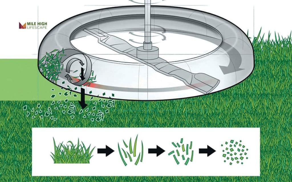 What is a mulch plug?