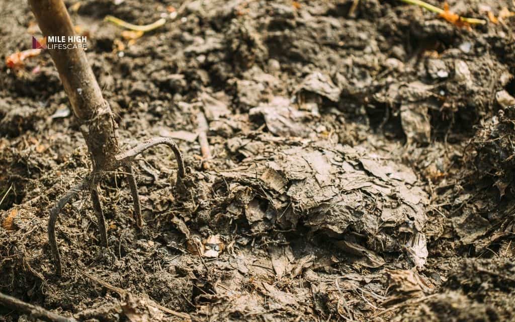 What is mulch? The ultimate Denver gardener's guide (Types, benefits & how to apply)