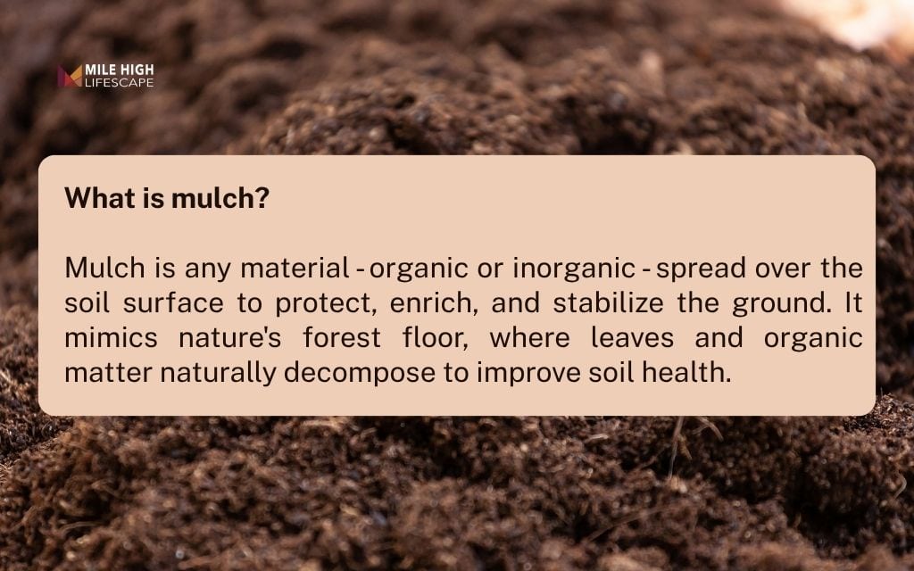 What is mulch?
