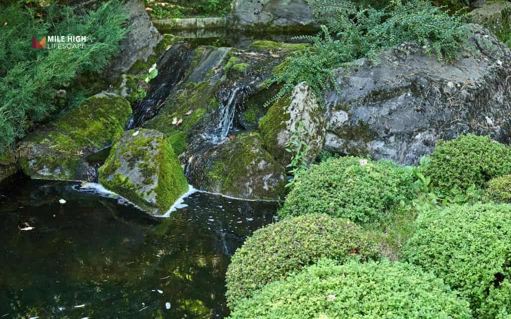 14 low-maintenance landscape rock garden ideas Denver homeowners love