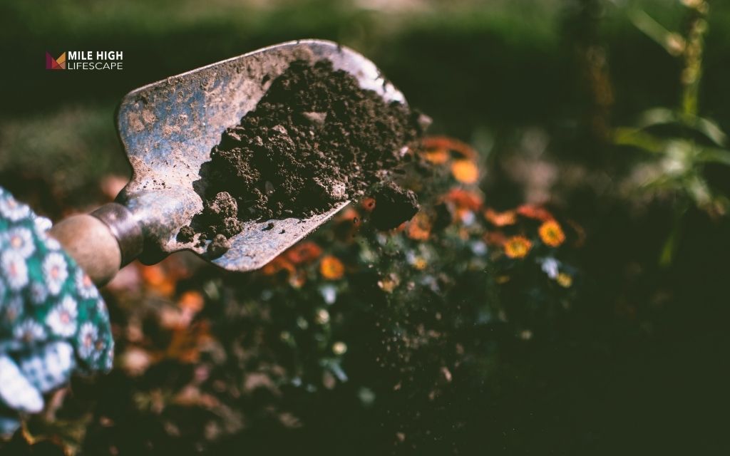 Can you really use compost as a mulch? Best Denver guide about using compost and mulch