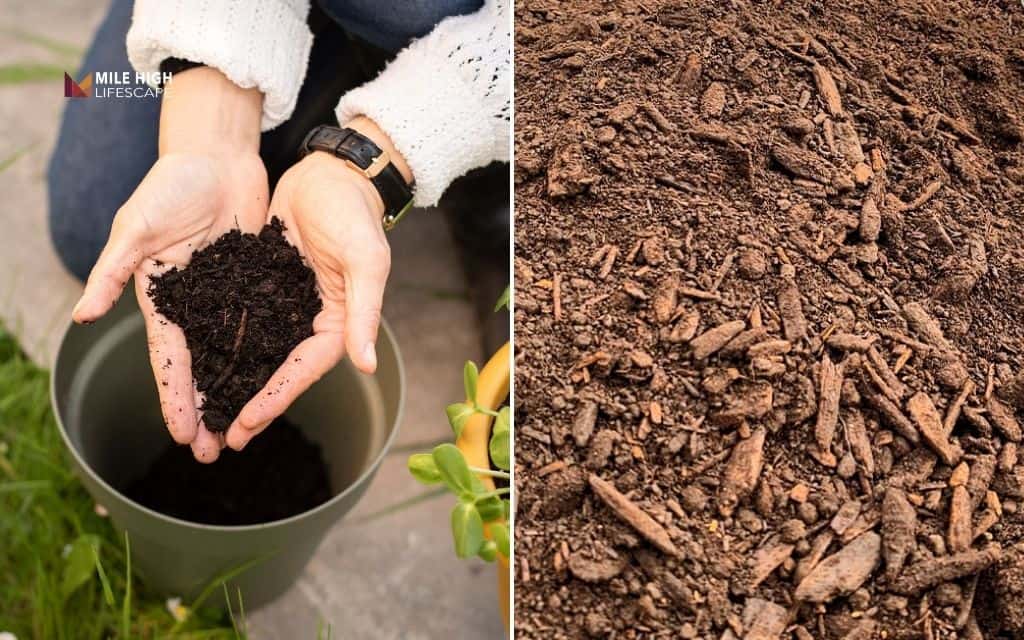 Compost vs mulch - What's the difference?