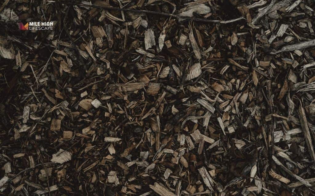 Drawbacks & limitations - When compost mulch isn't enough