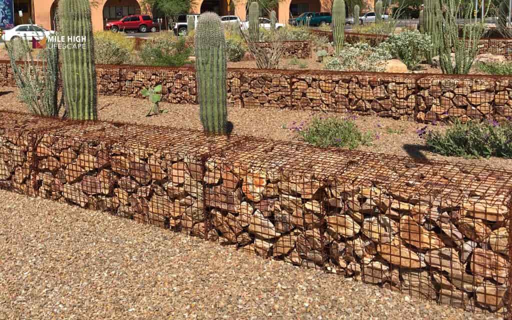 Gabion rock wall with native plantings