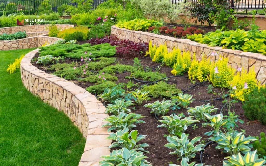 Hillside rock wall terraces for veggies or perennials