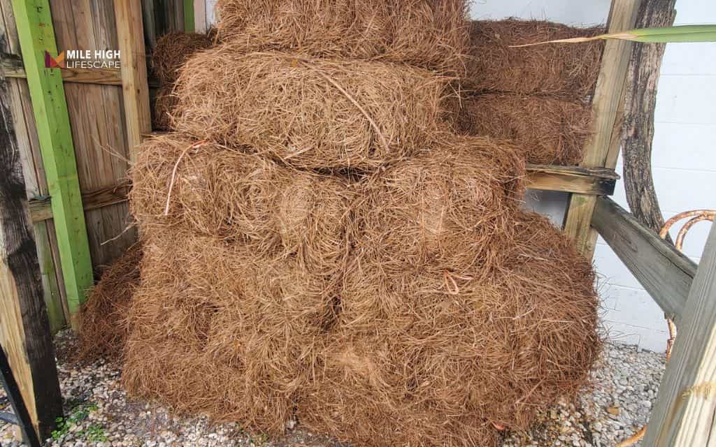 How long does pine straw mulch last?