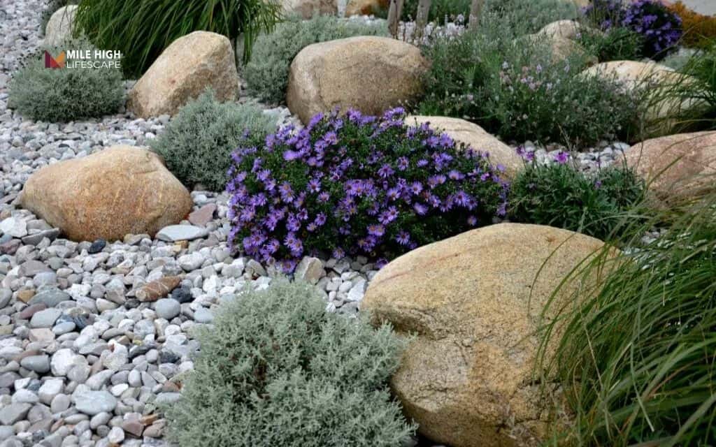 How to choose between pea gravel vs river rock