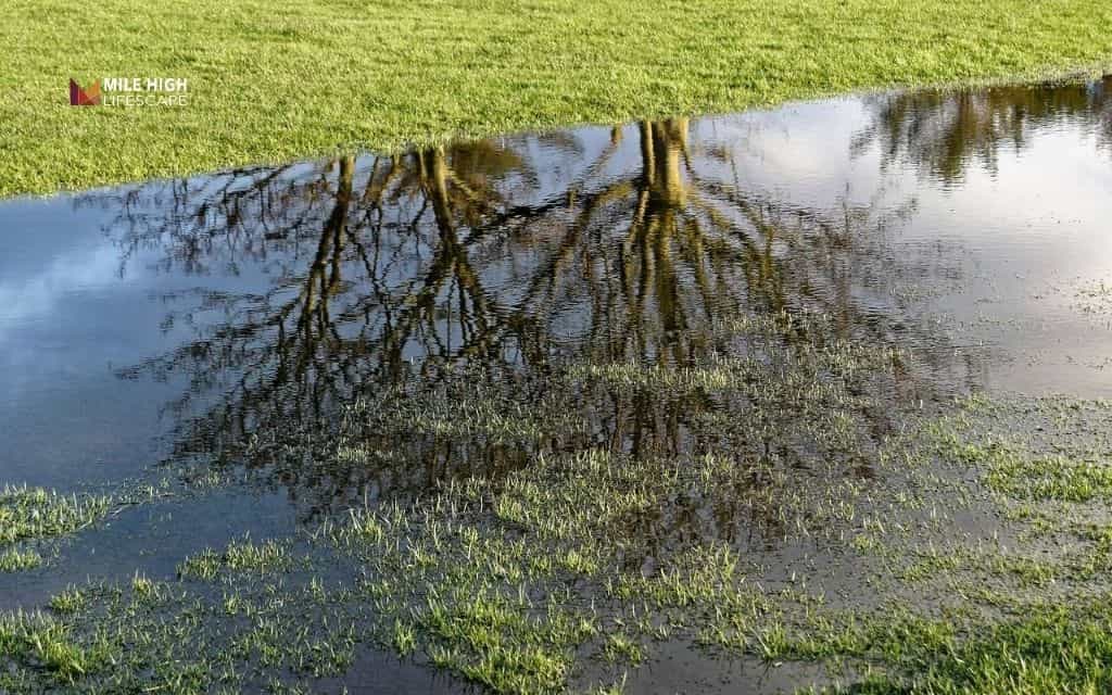 How water moves through your yard