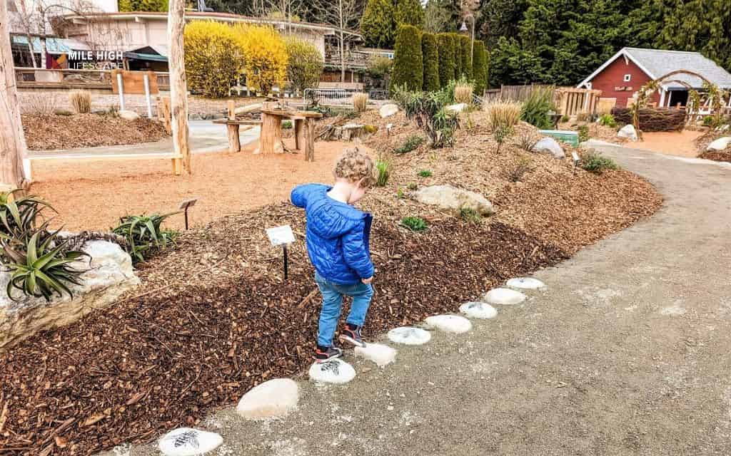 Kid and dog friendly rock exploration zone