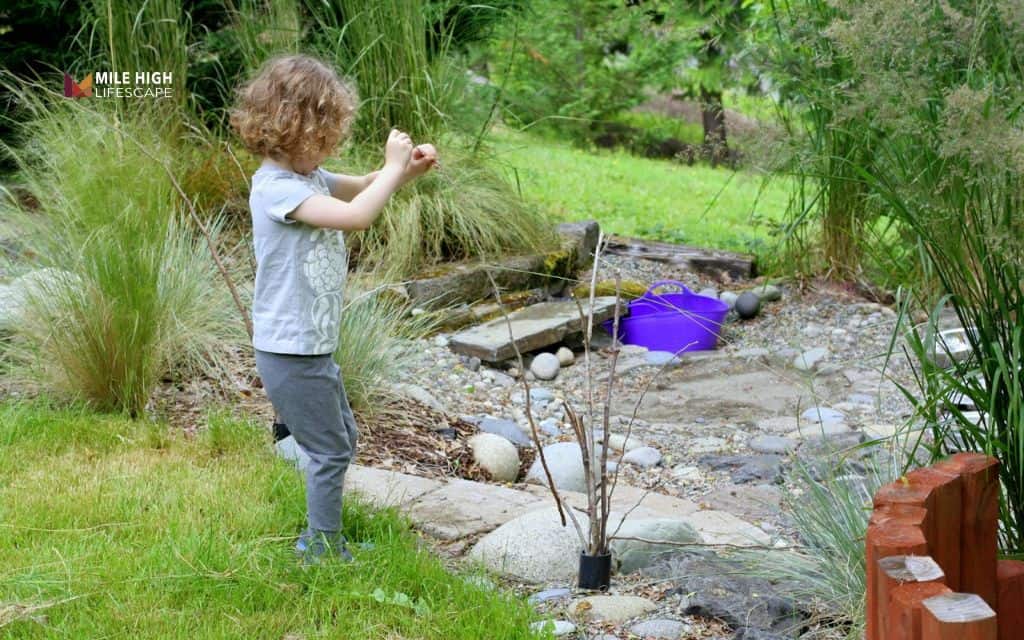Kids' exploration rock garden