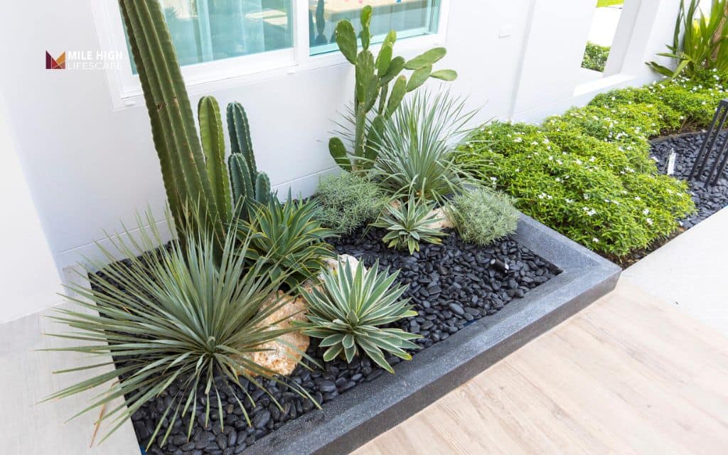 Modern minimalist black rock garden