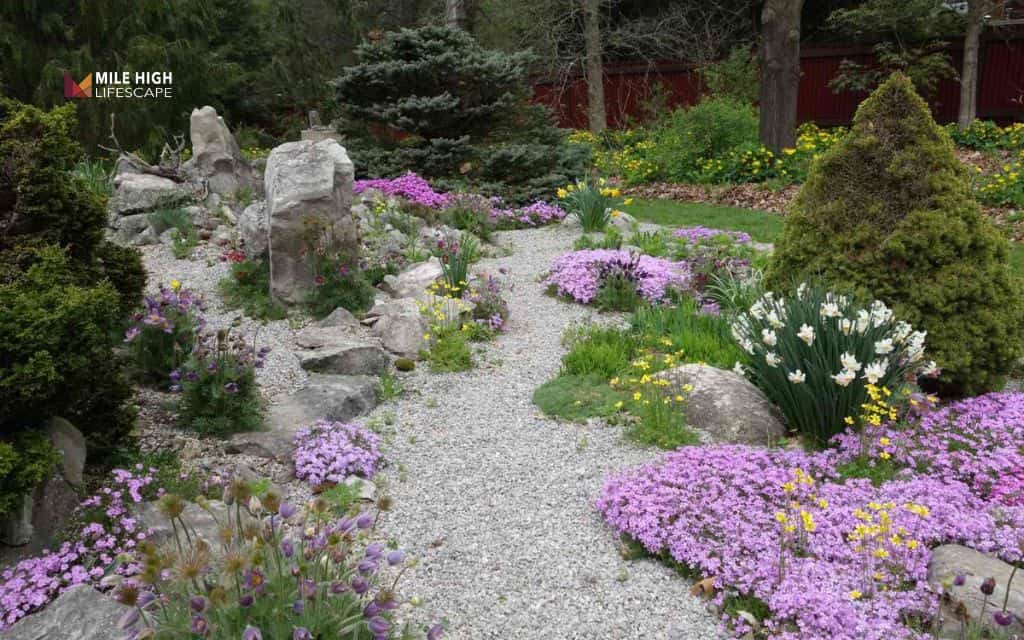 Native pollinator rock garden