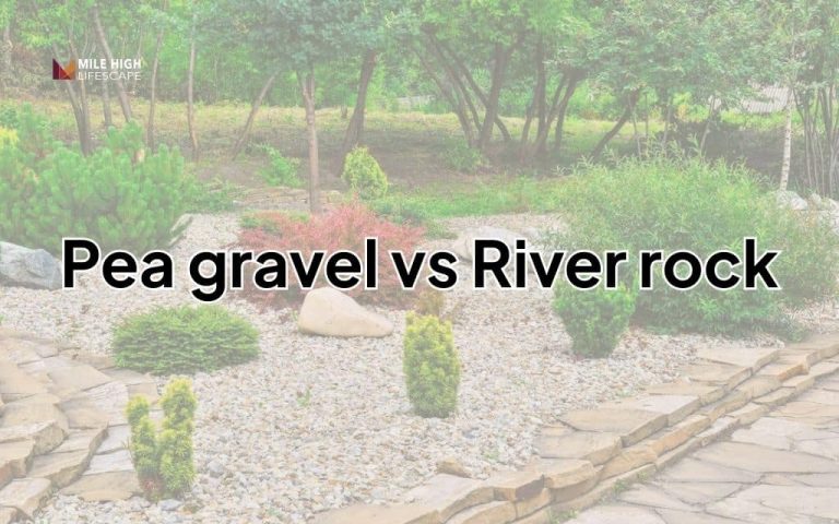 Upper Stream Rocks Vs Lower Stream Rocks Pea Gravel vs River Rock: Which Suits Denver's Climate Best?