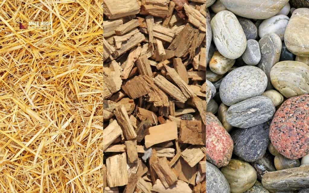 Pine straw vs wood mulch vs rock - Which should you choose?