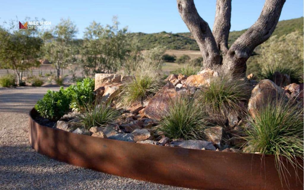 Rock garden around a mature tree