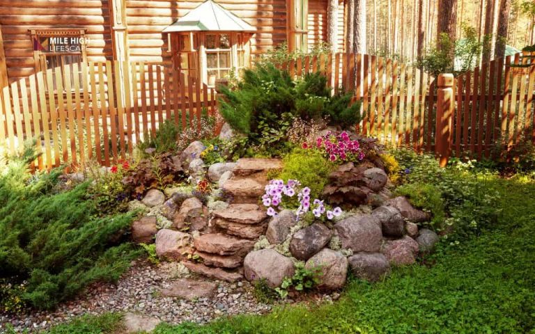 Rock garden landscape ideas: 22 designs that thrive in Denver's climate