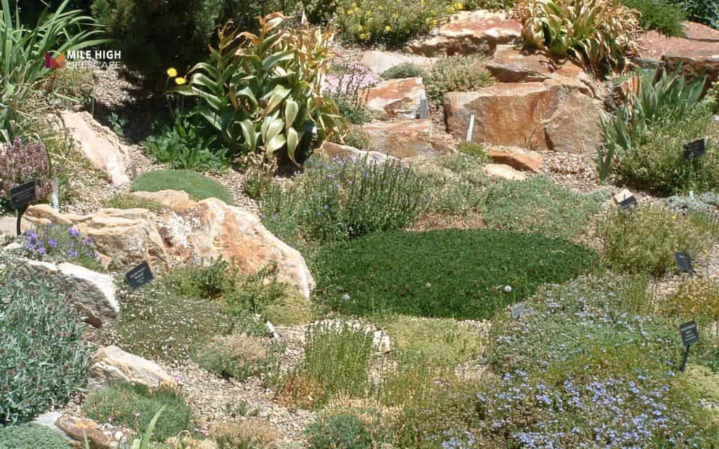 Rocky mountain slope garden with boulders