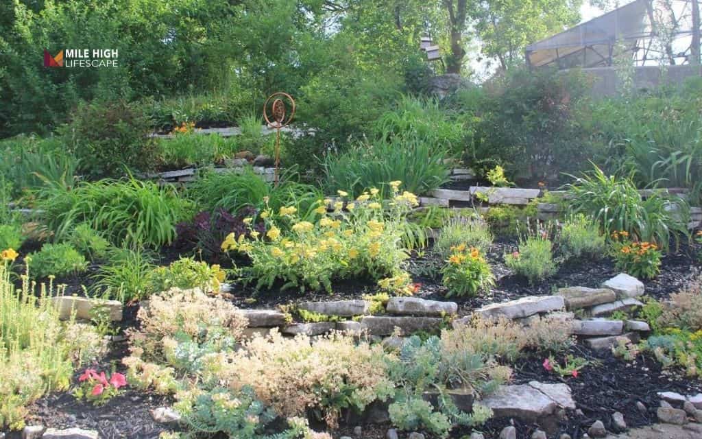 Rocky pollinator haven